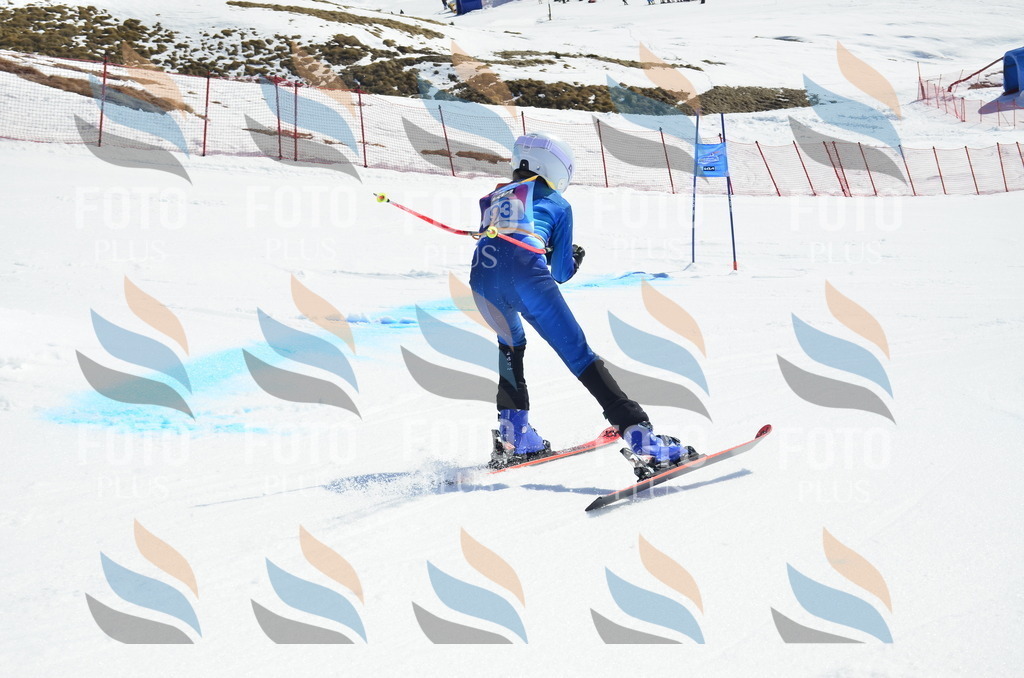 _ELE0520 | holidayphoto