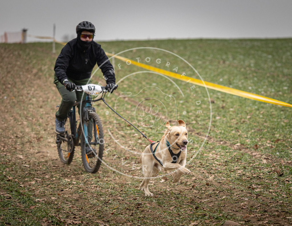 Pfotenfotografie_DV3A2954 | Hundefotografie, Tierfotograf, Pfotenfotografie, Fotoshooting Hund, Hunde Portrait, Hundesport, Hundeportraits, Heideshooting, Hunde, Sportfotograf, Hundefotograf, Turnierhundsport, THS,  - Realisiert mit Pictrs.com
