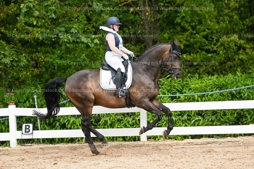 20230715_02_Dressurreiterprüfung Kl.L_0385 | equistock