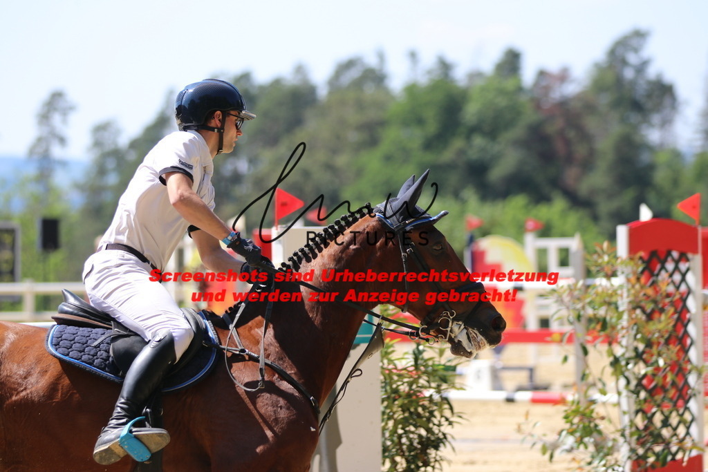 IMG_2848 | lmwpictures - Realisiert mit Pictrs.com