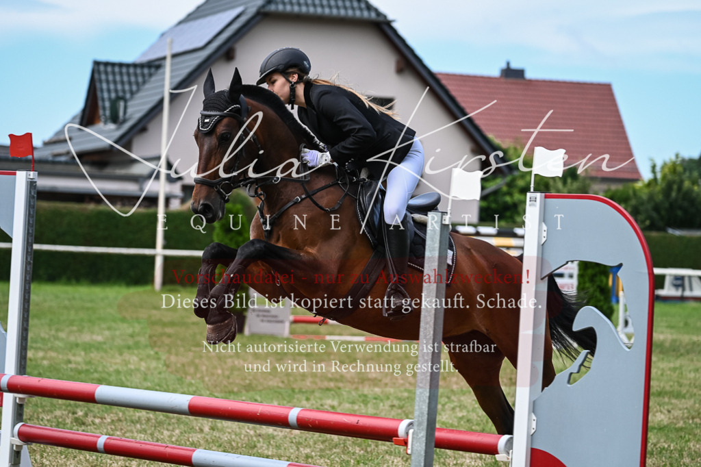 DSC_8664 | Pferde- und Turnierfotografie in Westsachsen. Pferdeportraits, Auftragszeichnungen und intuitive Kunst.