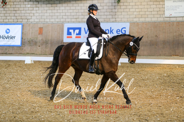 IMG_2575 | Turnierfotos kaufen im Webshop von Daniel Kuhl Photography – entdecke professionelle Reitsportfotos aus Turnieren & Events. Hochwertige Turnierbilder online bestellen & sichern. Jetzt Fotos von Reitsportturnieren kaufen!