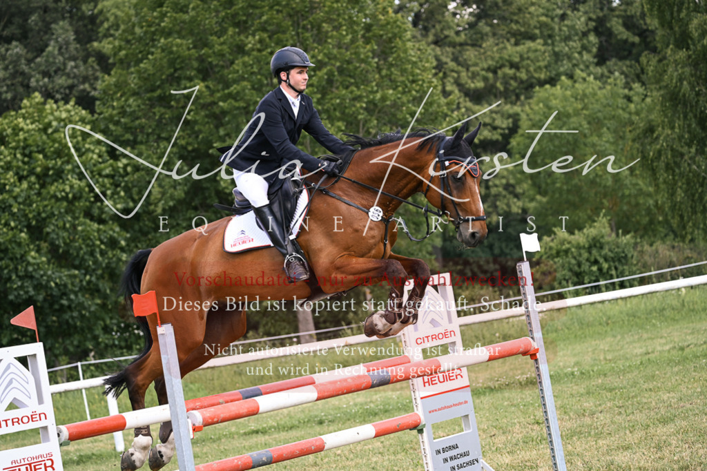 DSC_1001 | Pferde- und Turnierfotografie in Westsachsen. Pferdeportraits, Auftragszeichnungen und intuitive Kunst.