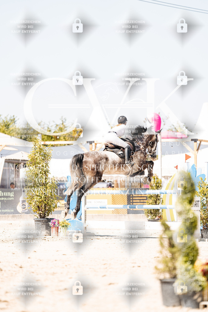 CK900008 | Turnierfotografie Pferdefotografie Trier Rheinland-Pfalz Pferdesport Reitsport Tierfotografie Sportfotografie Pferdevideo Pferdevideografie Equestrianvideography equestrianphotography  - Realisiert mit Pictrs.com