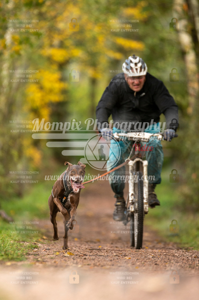 TSB_2023_E4_Bike-39 | PayLife