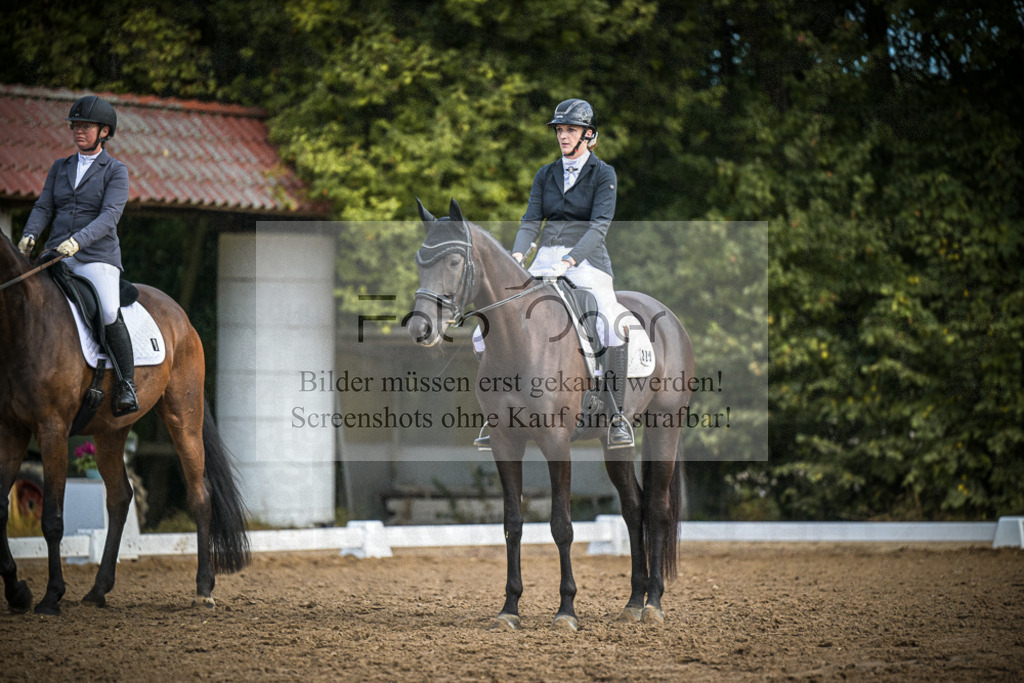DOS_1257 | Entdecke hochwertige Reitturnierfotos von Foto Oger. Professionell, emotional und authentisch – jetzt Lieblingsmomente im Shop bestellen.Deutschlandweite Turnierfotografie. - Realisiert mit Pictrs.com