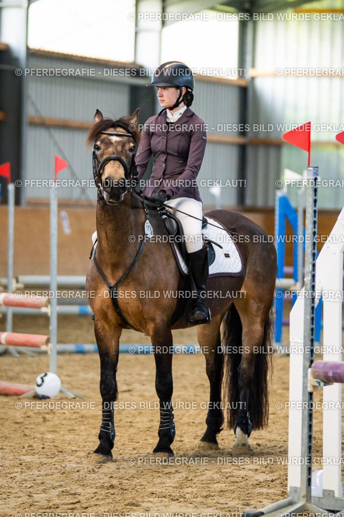 DSC00617 | Pferdegrafie