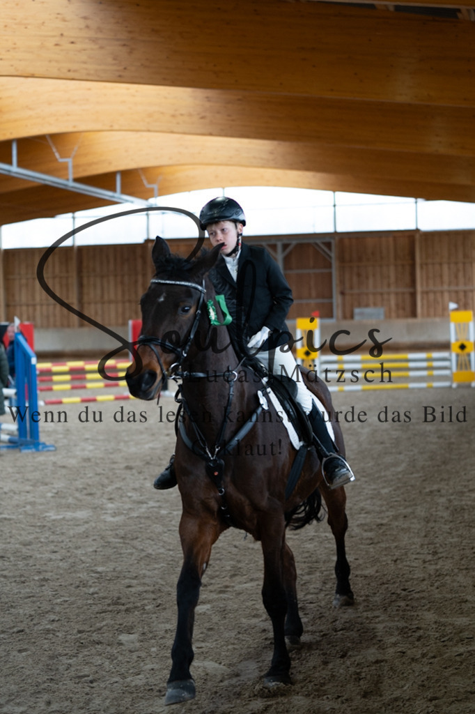 A7V00158 | Pferdefotograf