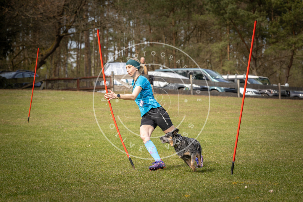 Pfotenfotografie_DV3A7584 | Hundefotografie, Tierfotograf, Pfotenfotografie, Fotoshooting Hund, Hunde Portrait, Hundesport, Hundeportraits, Heideshooting, Hunde, Sportfotograf, Hundefotograf, Turnierhundsport, THS,  - Realisiert mit Pictrs.com