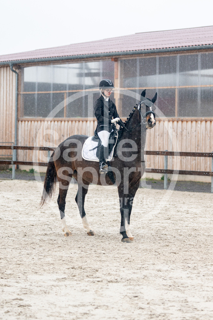 DSC_4527 | sattelsport - Realisiert mit Pictrs.com