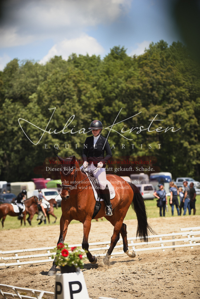 DSC_1332 | Pferde- und Turnierfotografie in Westsachsen. Pferdeportraits, Auftragszeichnungen und intuitive Kunst.