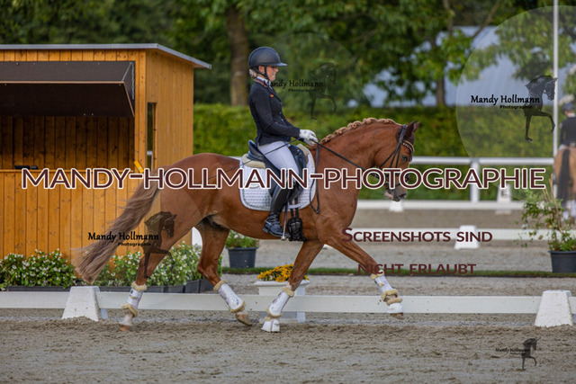 DRE L 6j (897 von 969) | mandyhollmannphotographie
