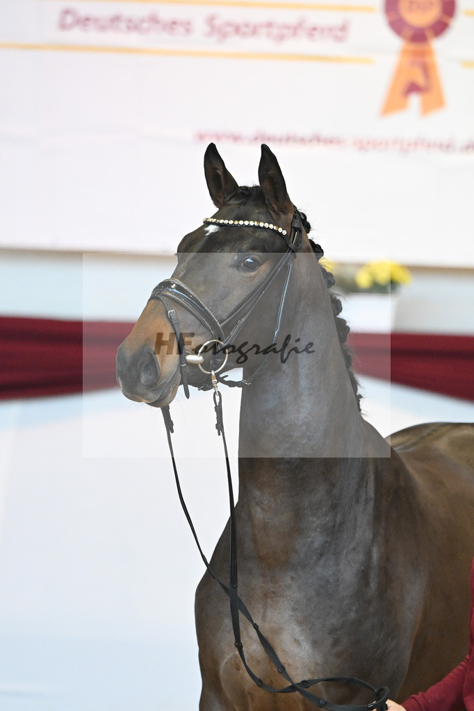 Kat-Nr. 43 v. Mykonos_Sommer_66220947 | hf-fotografie - Realisiert mit Pictrs.com