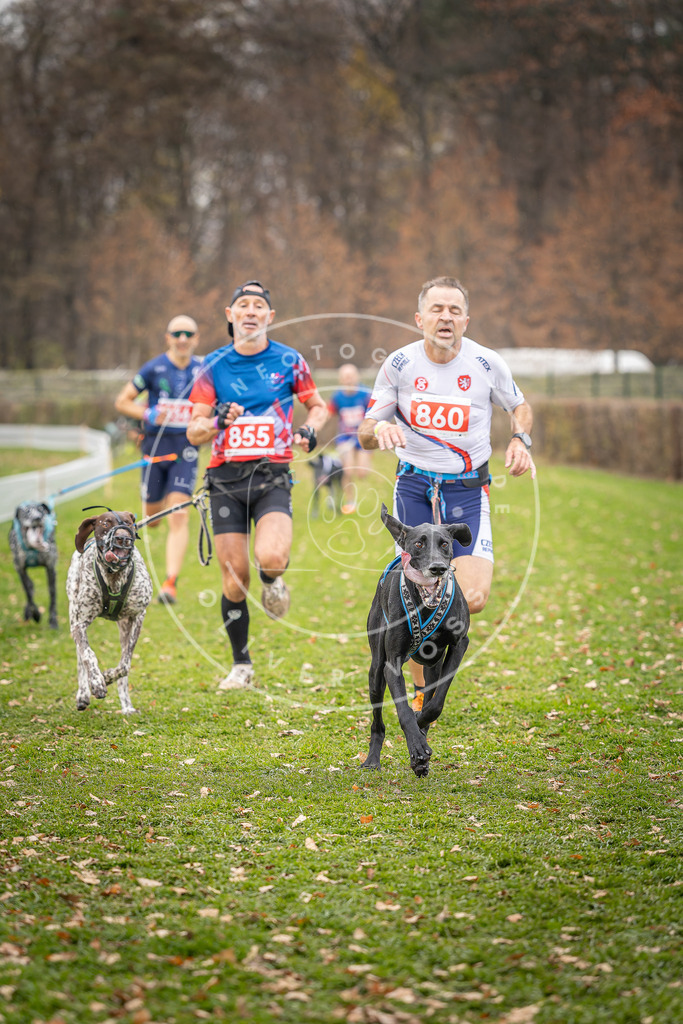 CaniXpix_DV3A6627 | Hundefotografie, Tierfotograf, Pfotenfotografie, Fotoshooting Hund, Hunde Portrait, Hundesport, Hundeportraits, Heideshooting, Hunde, Sportfotograf, Hundefotograf, Turnierhundsport, THS,  - Realisiert mit Pictrs.com