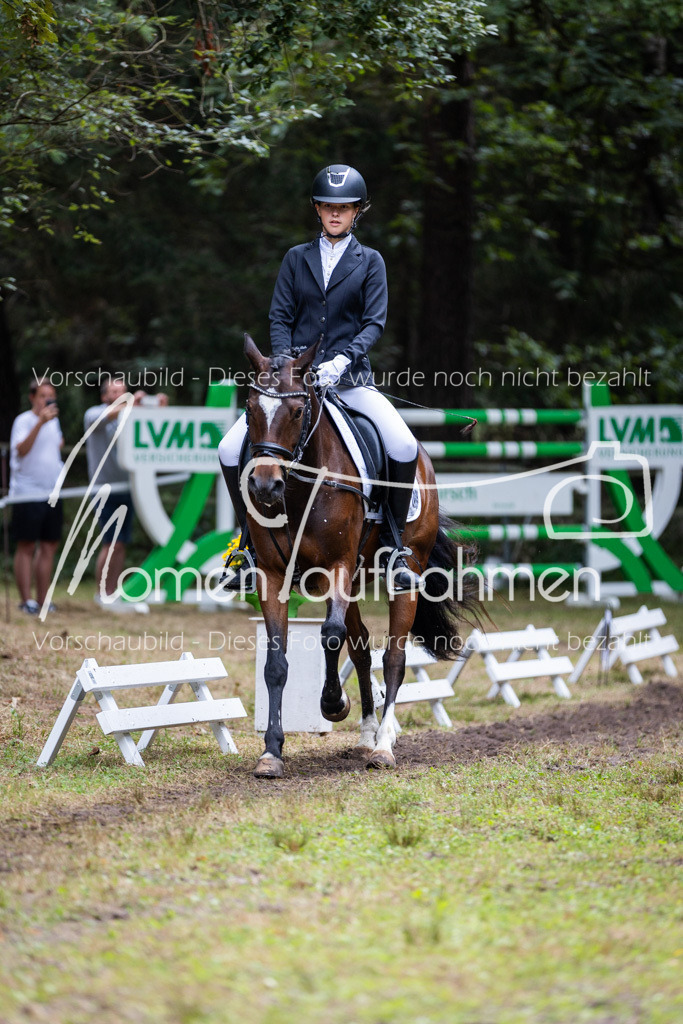 HB-Reiter-WB-072 | MomenTaufnahmen Pferdesportfotos