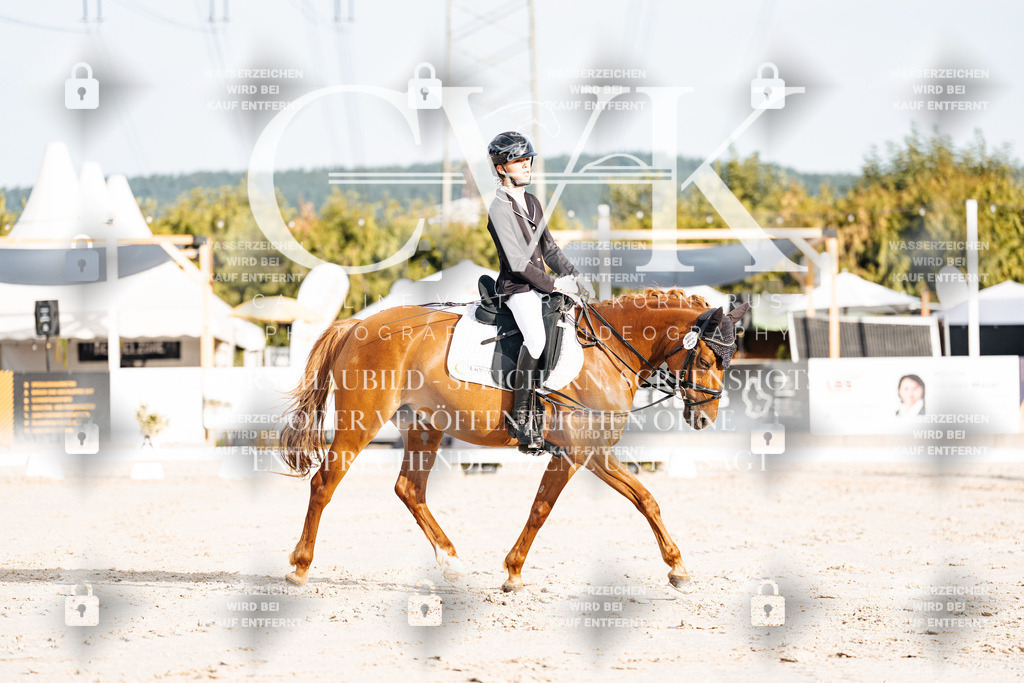 CK903786 | Turnierfotografie Pferdefotografie Trier Rheinland-Pfalz Pferdesport Reitsport Tierfotografie Sportfotografie Pferdevideo Pferdevideografie Equestrianvideography equestrianphotography  - Realisiert mit Pictrs.com