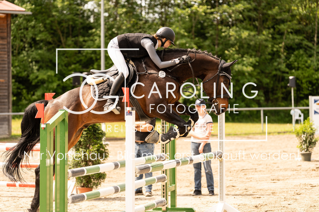 DSC02399 | Carolin Gieschke