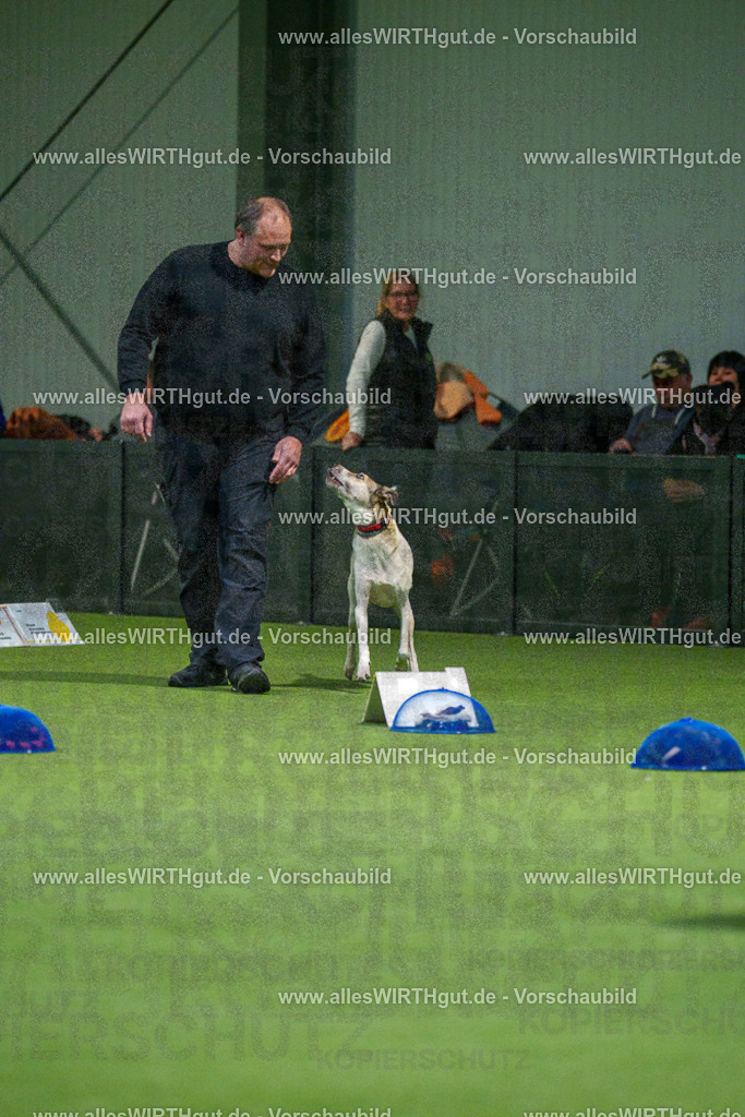7R505320 | Professionelle Tierfotografie in Mönchengladbach von Daniel Wirth (allesWIRTHgut). Liebevolle & natürliche Bilder von Hunden & Katzen für unvergessliche Erinnerungen.