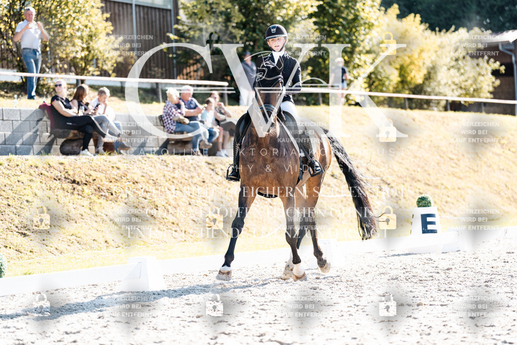 CK905918 | Turnierfotografie Pferdefotografie Trier Rheinland-Pfalz Pferdesport Reitsport Tierfotografie Sportfotografie Pferdevideo Pferdevideografie Equestrianvideography equestrianphotography  - Realisiert mit Pictrs.com