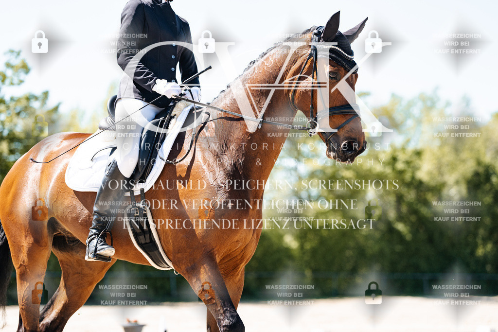 CK905216 | Turnierfotografie Pferdefotografie Trier Rheinland-Pfalz Pferdesport Reitsport Tierfotografie Sportfotografie Pferdevideo Pferdevideografie Equestrianvideography equestrianphotography  - Realisiert mit Pictrs.com