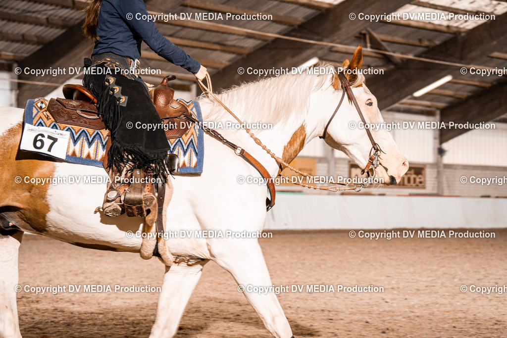 ZH300132 | dv-media-shop - Realisiert mit Pictrs.com