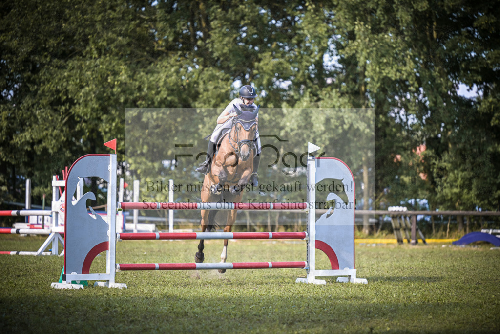 DOS_0929 | Entdecke hochwertige Reitturnierfotos von Foto Oger. Professionell, emotional und authentisch – jetzt Lieblingsmomente im Shop bestellen. - Realisiert mit Pictrs.com