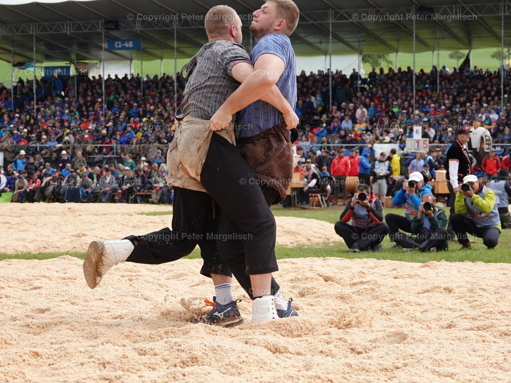 DSC08016 | Schwingen - Realisiert mit Pictrs.com