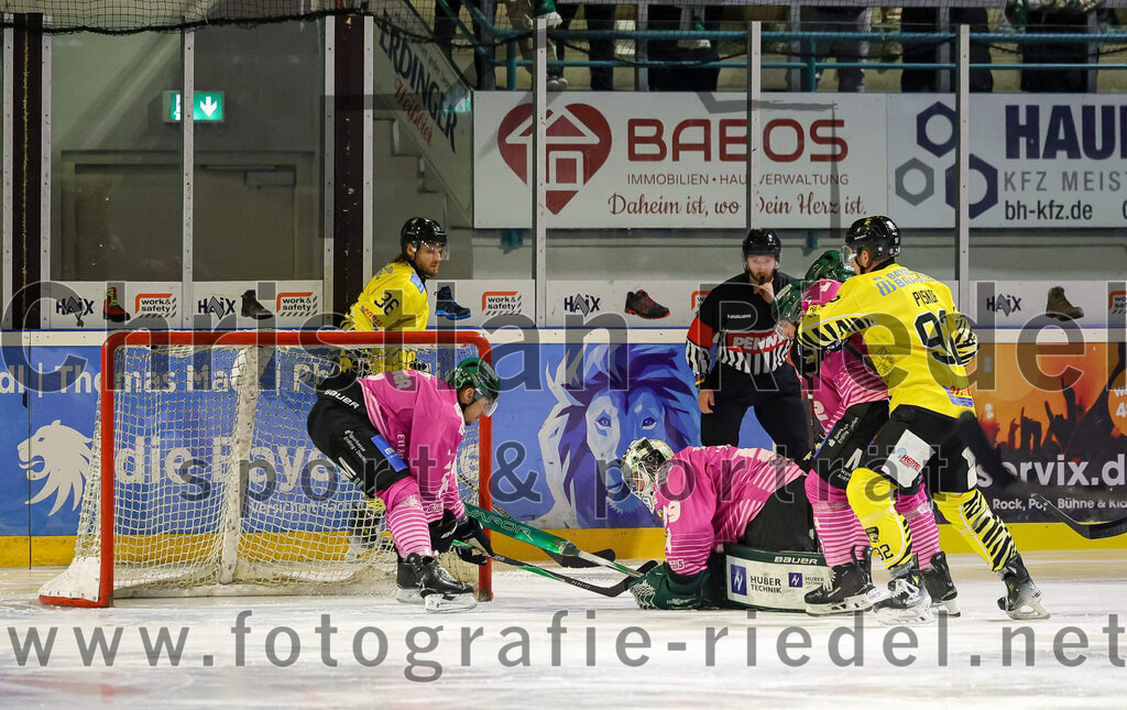 2025-10-10_116_TSV_Erding_gegen_onesto_Tigers_Bayreuth | Erding, Deutschland, 10.10.2025:Eishockey, Oberliga Süd 2025 / 2026, 7. Spieltag, TSV Erding gegen onesto Tigers Bayreuth, Endergebnis: 2:5Sam Verelst (onesto Tigers Bayreuth, #36), Torwart Leon Meder (Erding Gladiators, #39)Foto: Christian Riedel / fotografie-riedel.net