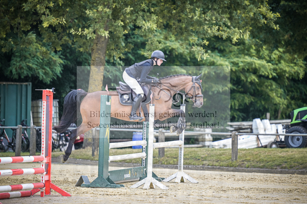 DOS_3156 | Entdecke hochwertige Reitturnierfotos von Foto Oger. Professionell, emotional und authentisch – jetzt Lieblingsmomente im Shop bestellen.Deutschlandweite Turnierfotografie. - Realisiert mit Pictrs.com