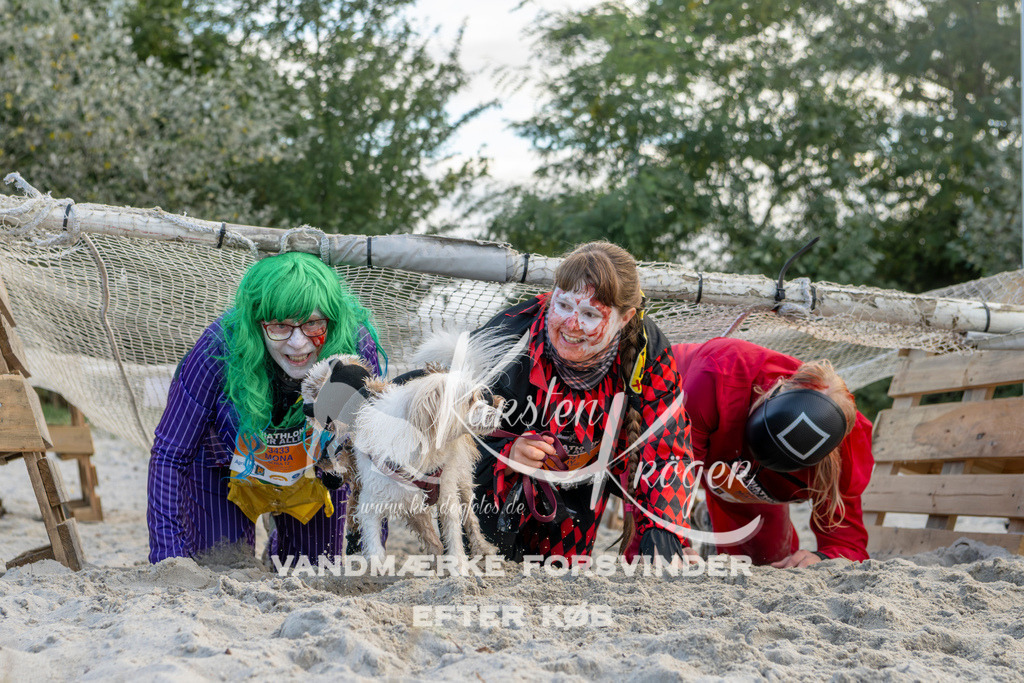 1631_ZZ97829 | kk-dogfotos