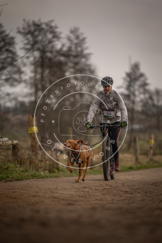 Pfotenfotografie_DV3A4012 | Hundefotografie, Tierfotograf, Pfotenfotografie, Fotoshooting Hund, Hunde Portrait, Hundesport, Hundeportraits, Heideshooting, Hunde, Sportfotograf, Hundefotograf, Turnierhundsport, THS,  - Realisiert mit Pictrs.com