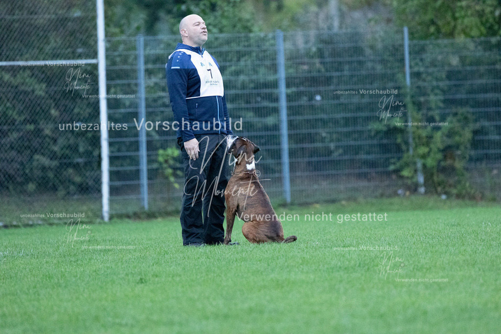 _16A4416 | Einzigartige Fotos von Hunden & Menschen –Actionfotos, Portraits, Vereinsaufnahmen & Paarshootings – authentisch, lebendig & mit Herz.