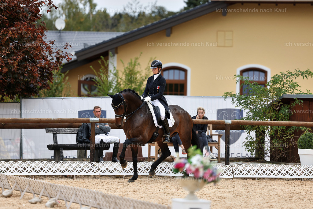 11-110-Dressur S___-StoibPH-1359 | working equitationturnier fotograf videograf stoibphotography marixx film working equitation deutschland reitsport turnierfotografie eventfotografie equestrian events