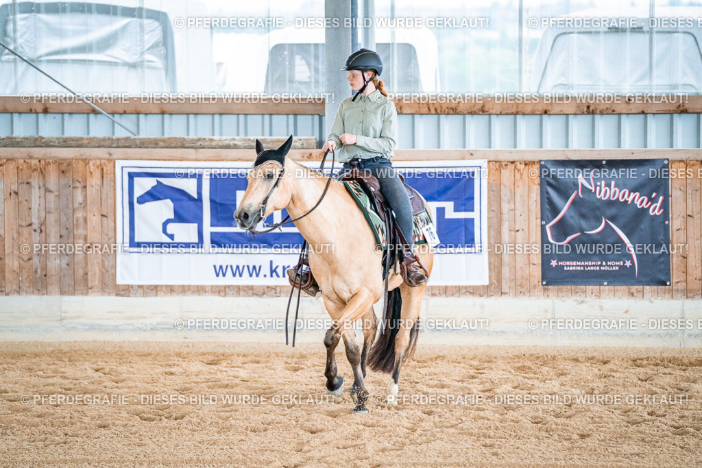 DSC09701 | Pferdegrafie