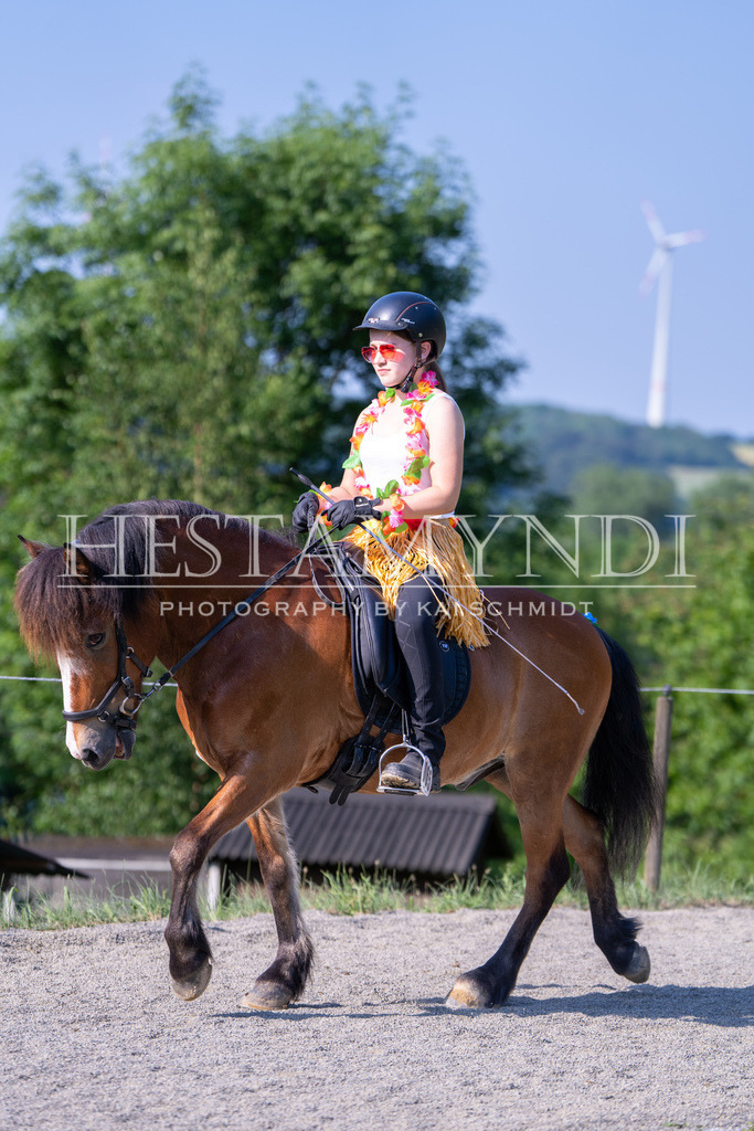 KAI07258 | Ihr sucht einen Fotografen für eure nächste OSI? Ich begleite auch euer Turnier für Islandpferde fotografisch.  - Realisiert mit Pictrs.com