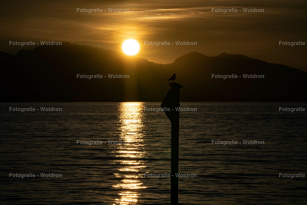 20221109 Bregenz Bodensee-8 | Fotografie Woldron
