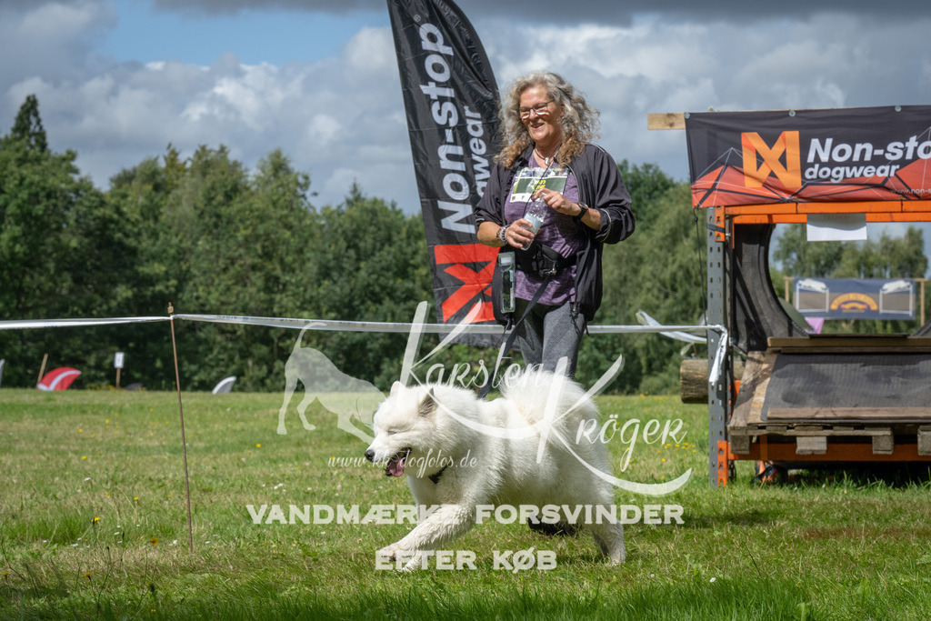 1412_ZZ90963 | kk-dogfotos