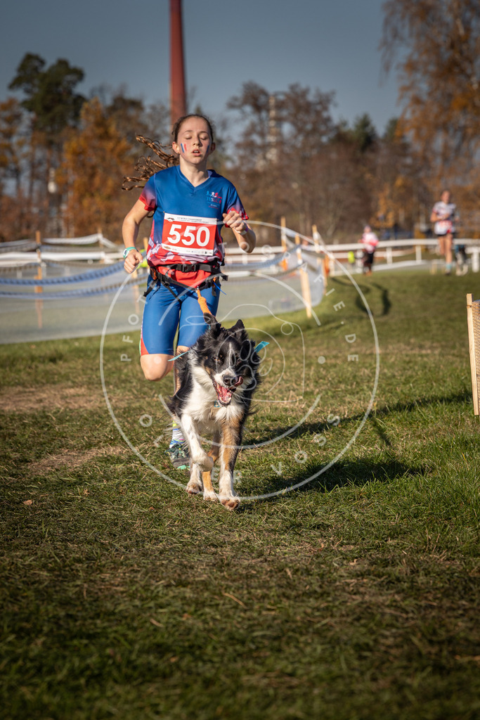 CaniXpix_0L8A7642 | Hundefotografie, Tierfotograf, Pfotenfotografie, Fotoshooting Hund, Hunde Portrait, Hundesport, Hundeportraits, Heideshooting, Hunde, Sportfotograf, Hundefotograf, Turnierhundsport, THS,  - Realisiert mit Pictrs.com