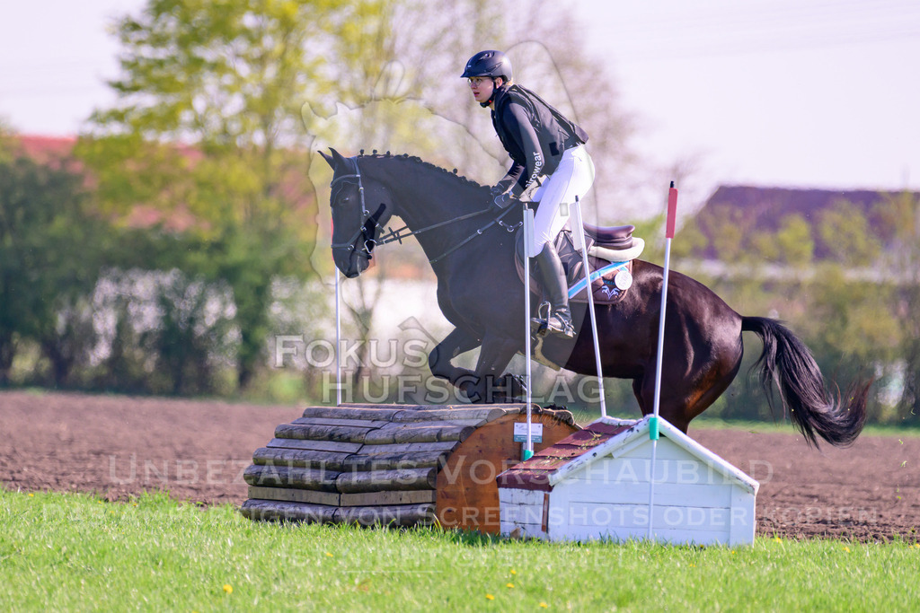 18042026-Gernlinden-03-0173 | Fokus Hufschlag Fotografie - Realisiert mit Pictrs.com
