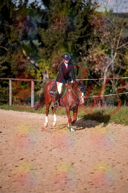 2026_10_03_Siefer-Hof_155828_Z81_78591925 | Professionelle Reitsport-, Turnier- und Eventfotografie von Robert Broda. Galerien mit ausgewählten und bearbeiteten Bildern direkt online ansehen und bestellen.