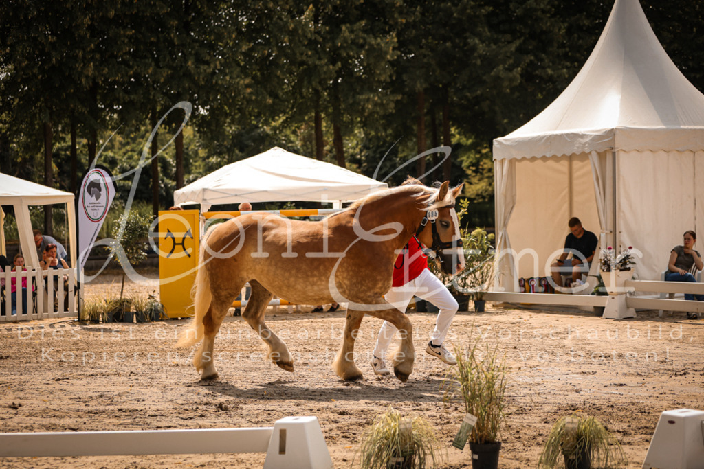 2.Sa00061 | Leoni Ertmer Photography - Realisiert mit Pictrs.com