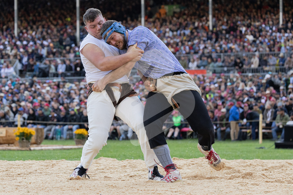 ESAF2025_05Gang_5959 | Die Schwinger des Schwyzer Kantonalen Schwingerverbandes: Fotos, die Dynamik und Leidenschaft festhalten, sowie emotionale Momente aus dem traditionellen Schwingsport zeigen. - Realisiert mit Pictrs.com