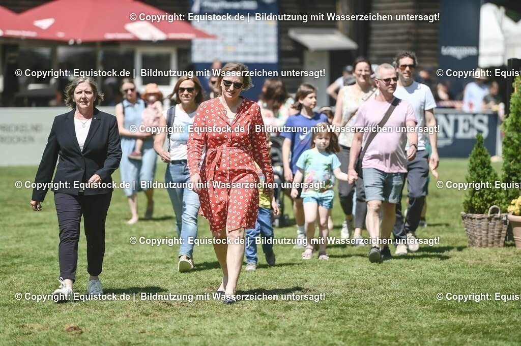 D78_3583 | equistock