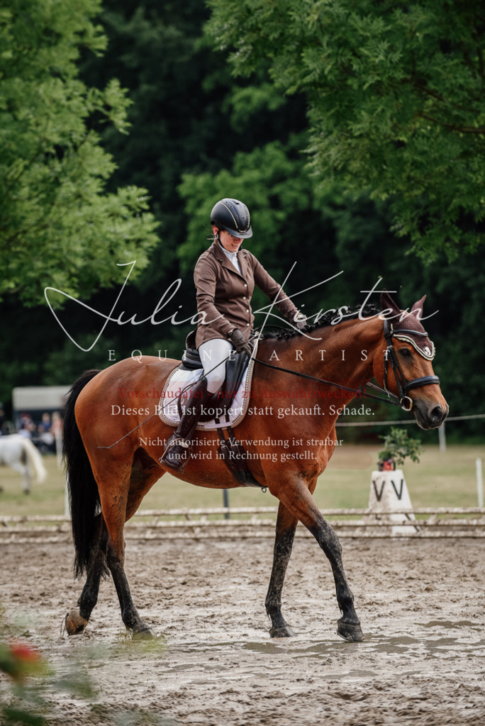 DSC_9554 | Pferde- und Turnierfotografie in Westsachsen. Pferdeportraits, Auftragszeichnungen und intuitive Kunst.