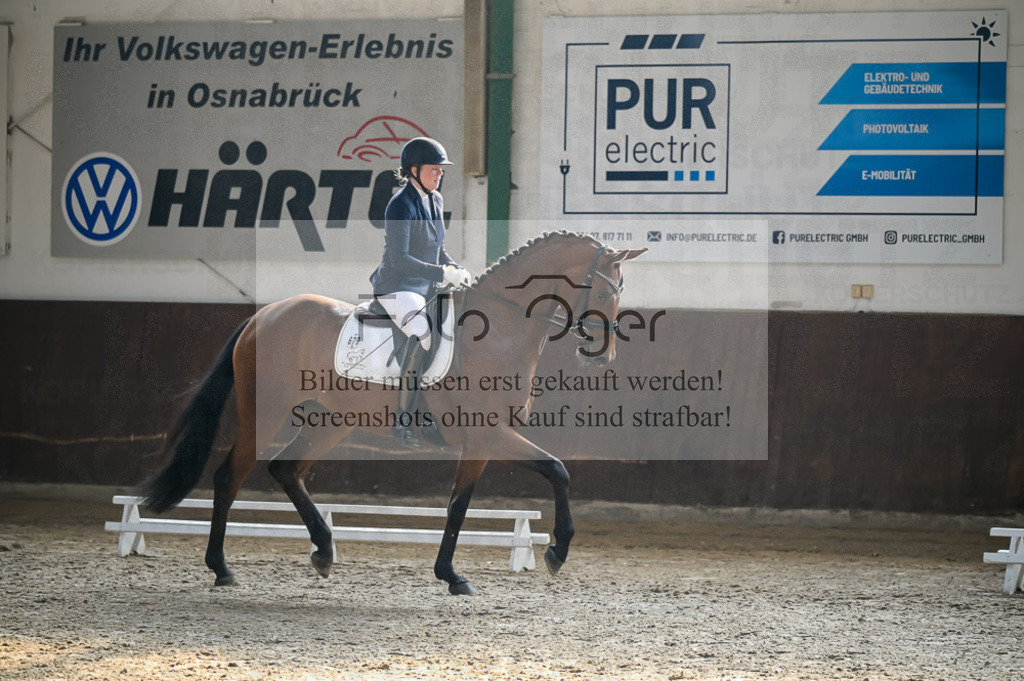 Reitturnier Voxtrup | Entdecke hochwertige Reitturnierfotos von Foto Oger. Professionell, emotional und authentisch – jetzt Lieblingsmomente im Shop bestellen.Deutschlandweite Turnierfotografie. - Realized with Pictrs.com