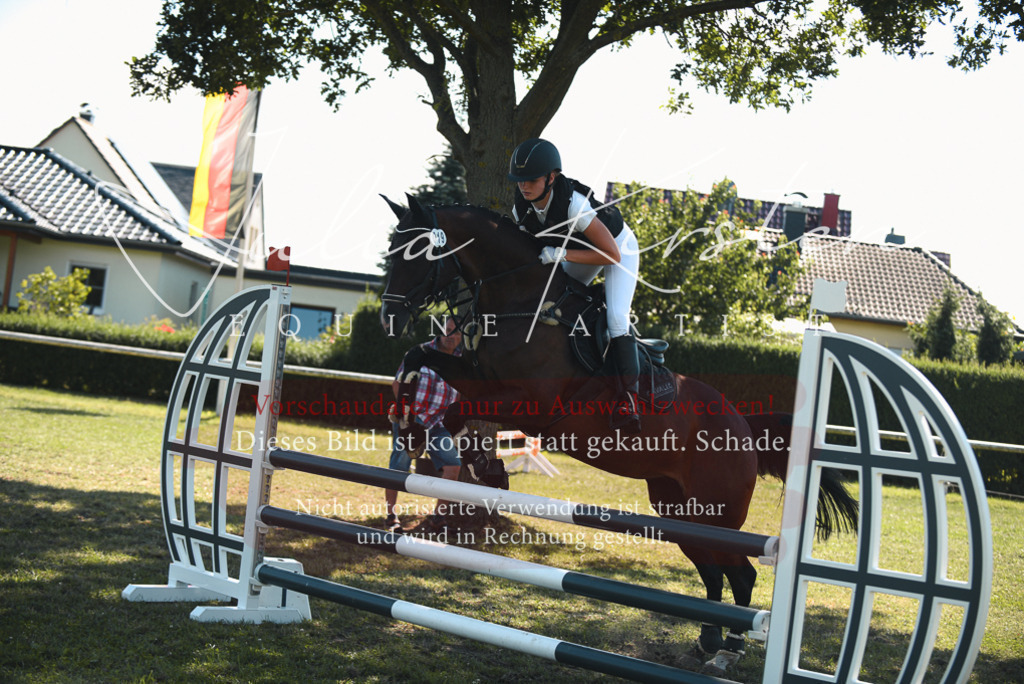 DSC_7193 | Pferde- und Turnierfotografie in Westsachsen. Pferdeportraits, Auftragszeichnungen und intuitive Kunst.