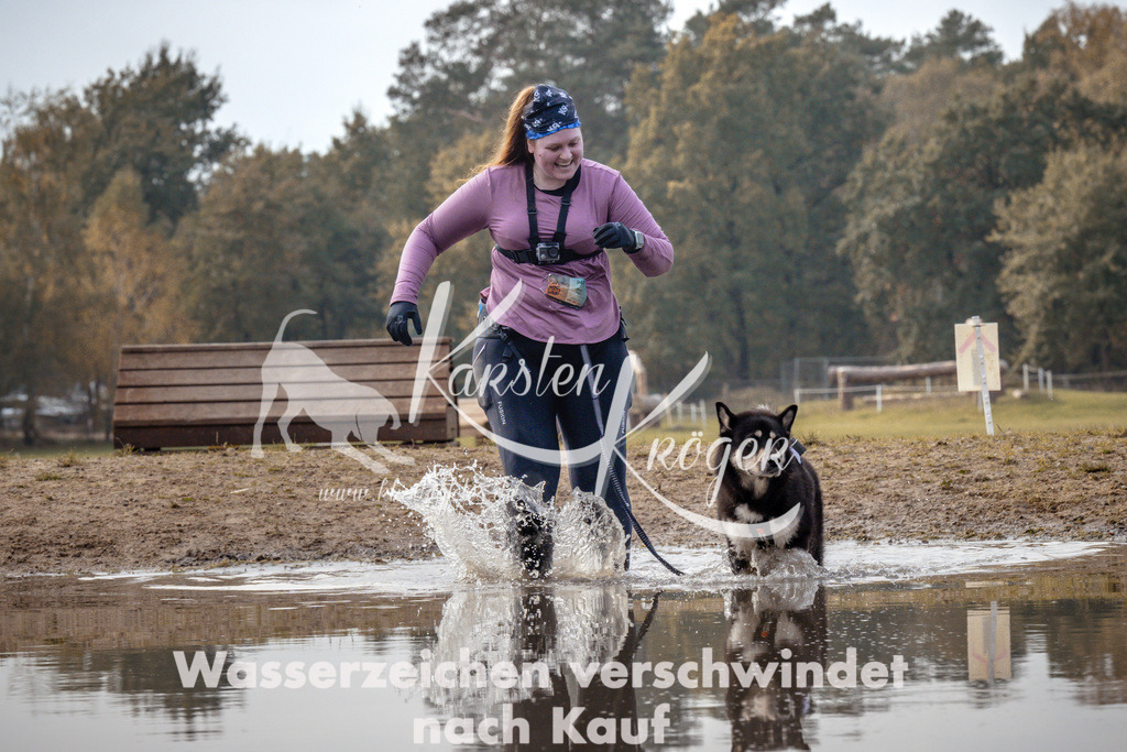 1338_ZZ94372 | kk-dogfotos