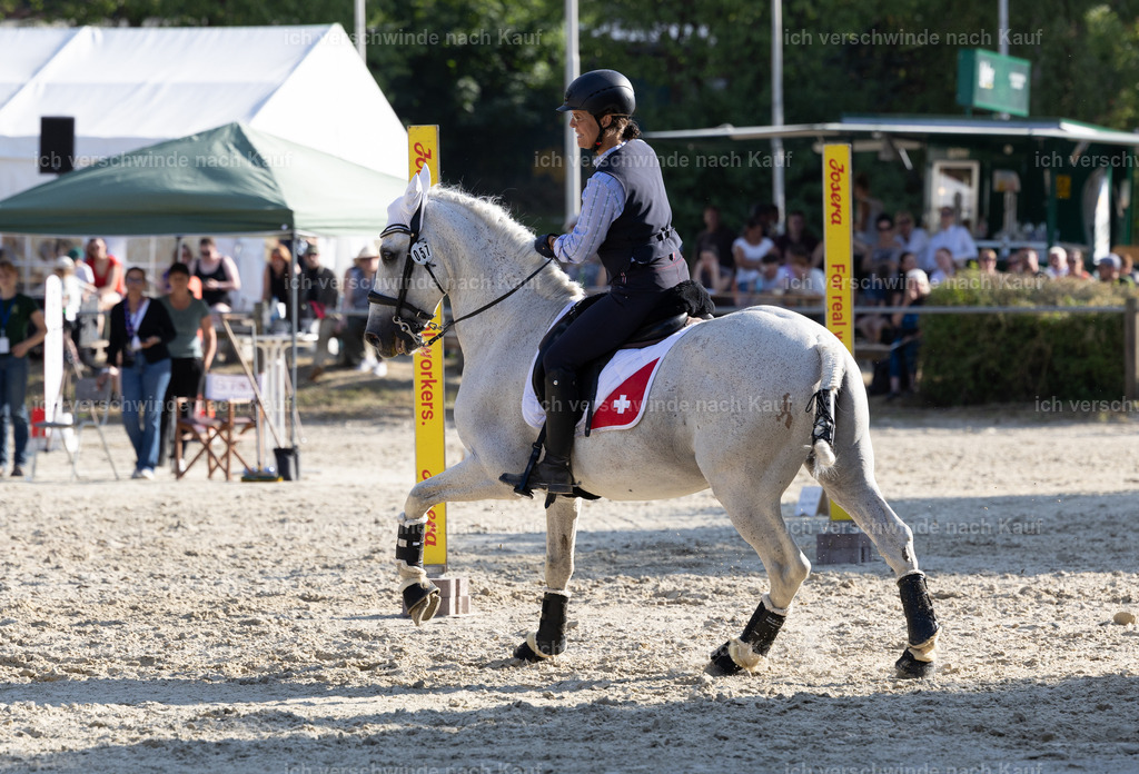 WS_SPEED_57_KerstinBernhardt-3 | working equitationturnier fotograf videograf stoibphotography marixx film working equitation deutschland reitsport turnierfotografie eventfotografie equestrian events