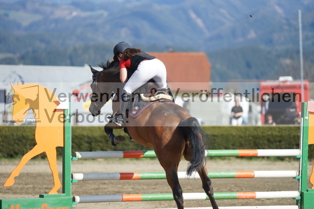 DSC03343 | equestrian-live-com