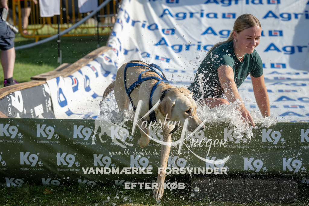 0920_ZZ94861 | kk-dogfotos
